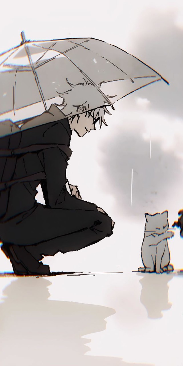 深夜帯こいっ( ≖ᴗ≖​)