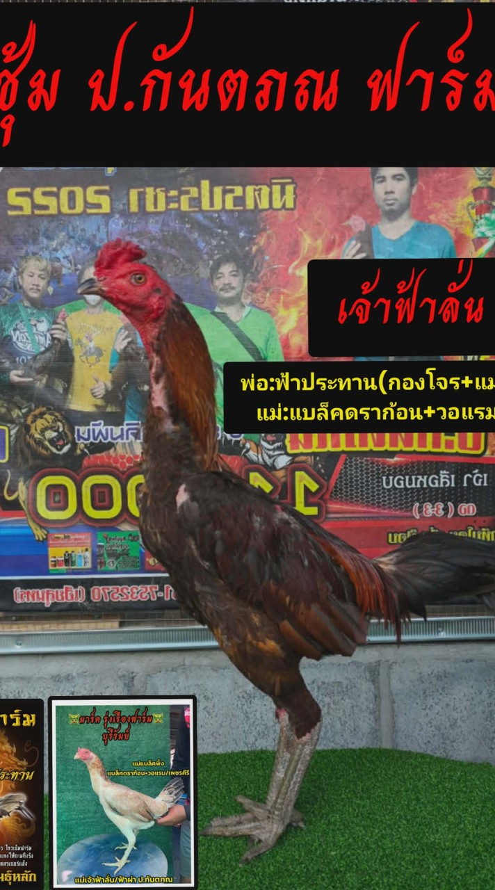 ซุ้ม ป.กันตภณ