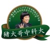 豬大哥粉絲後援會中科大分會/豬哥會社黨台中黨部