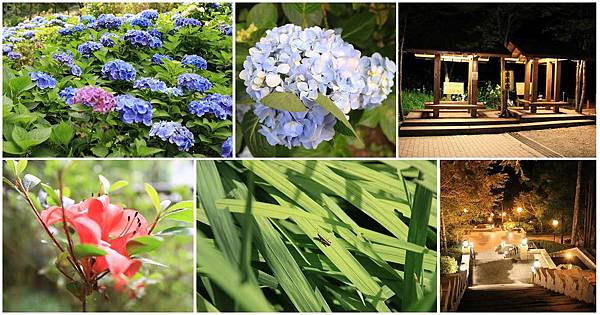 【桃園旅遊】明池山莊森林遊樂區-夏日登高避暑的最佳去處 【桃園旅遊】明池山莊森林遊樂區-夏日登高避暑的最佳去處