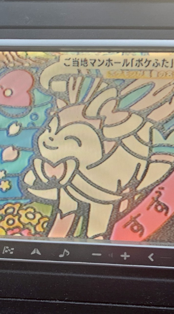北陸 ポケカ✨️ワンピ PSAコレクション投資(石川、富山、福井)　素体集め