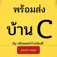 พร้อมส่ง แม่และเด็ก บ้านน้อง C (ปี2566)