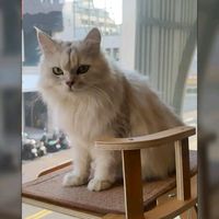 ୧⍤⃝吃貨趴趴造୧⍤⃝