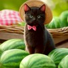 🐾大好きな愛猫ちゃんと愛犬が大好きな方々大歓迎です🐾猫の写真とか犬の写真大歓迎です。雑談オッケー