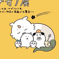 台南吉伊卡哇/白熊交流社