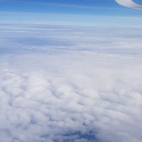 明華國中19屆204班家長社群