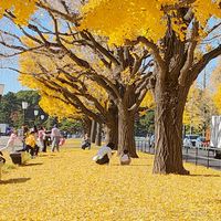 🌟star星川🌟