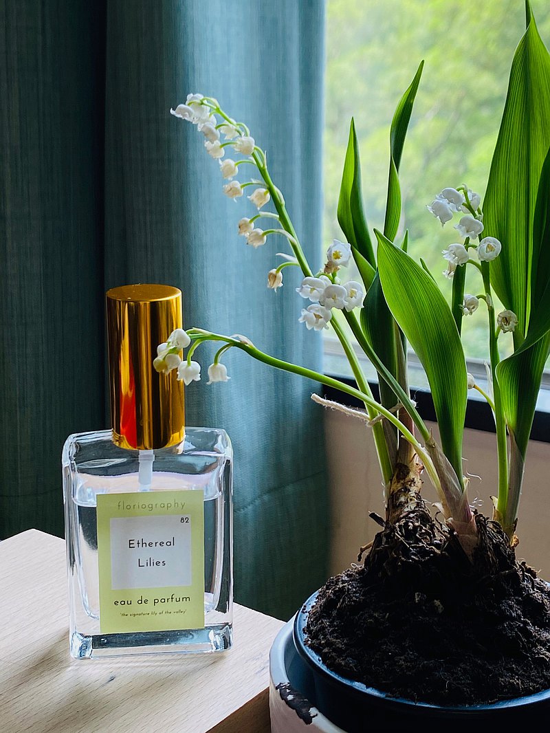 Floriography空靈鈴蘭淡香水 - 鈴蘭 | 西洋梨 | 依蘭依蘭