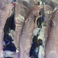 七股在地 時鮮水產 文蛤池淺坪飼養 無刺虱目魚 低密度養殖