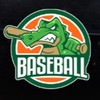 硬邦幫-MLB勁旅對決群組⚾️