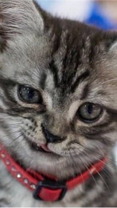 เล่าสู่กันฟังงงง.