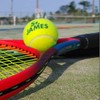 【リンクス🎾】テニスサークル