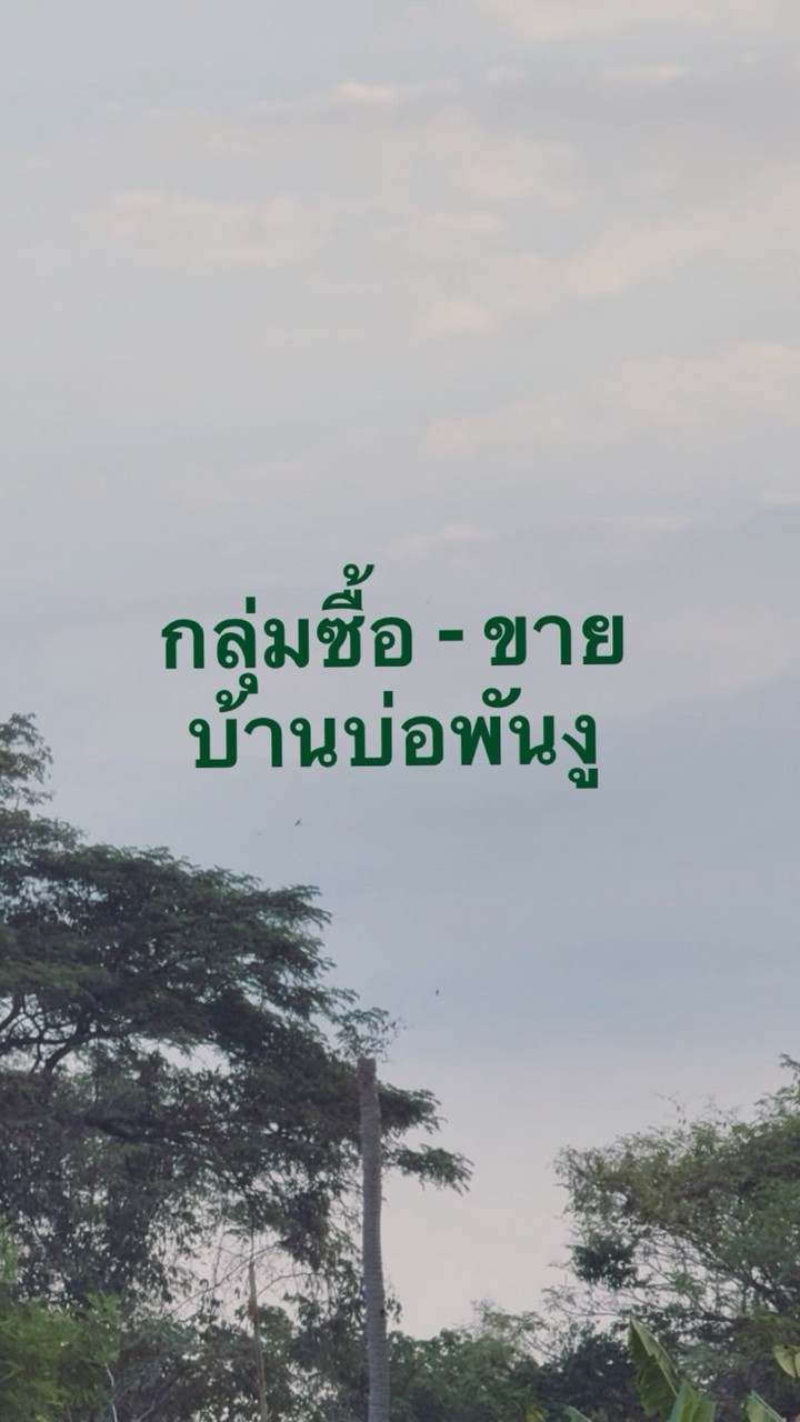 ซื้อ-ขาย บ้านบ่อพันงู เพชรบุรี