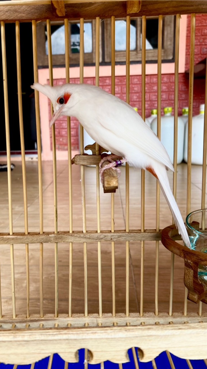 RK Farm (Ronnakorn)