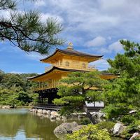 JOJOME揪揪我📢 四月東京代購