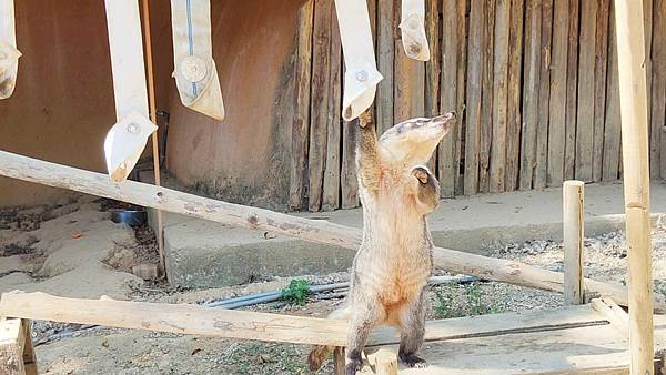 新竹動物園