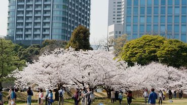日本人在春天做什麼？盤點日本四月的習俗文化