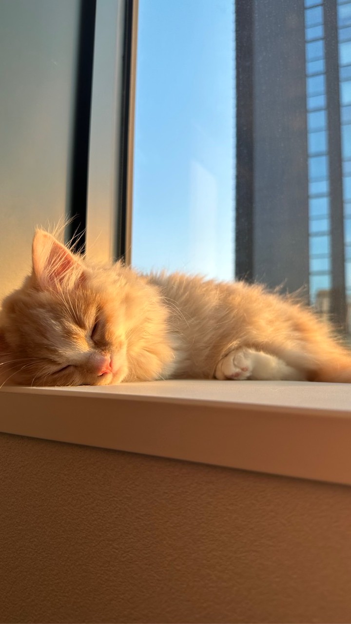 三浦みゅら通知🍭🔮