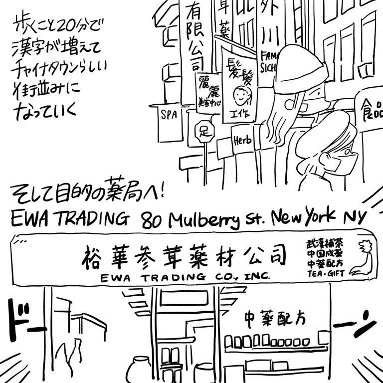 敏腕ドクターも Nyのチャイナタウンにある 漢方薬局 へ