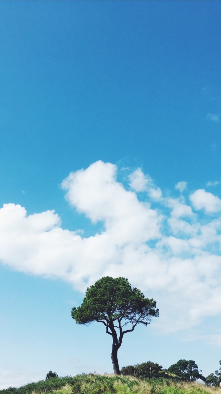 境在瑜珈，妤是專注(新莊瑜珈yoga)