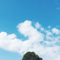 境妤瑜珈班(新莊瑜珈yoga)
