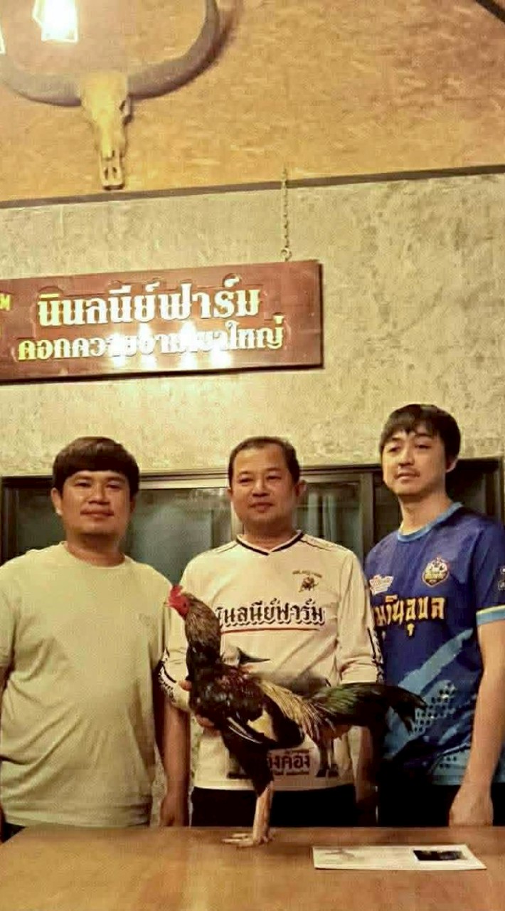 RBR#ไร่นาบุญโฮมแรนช์(ฟาร์มไก่ชน)