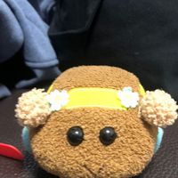 天竺鼠車車交流🐹
