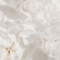 こうきしおり結婚式