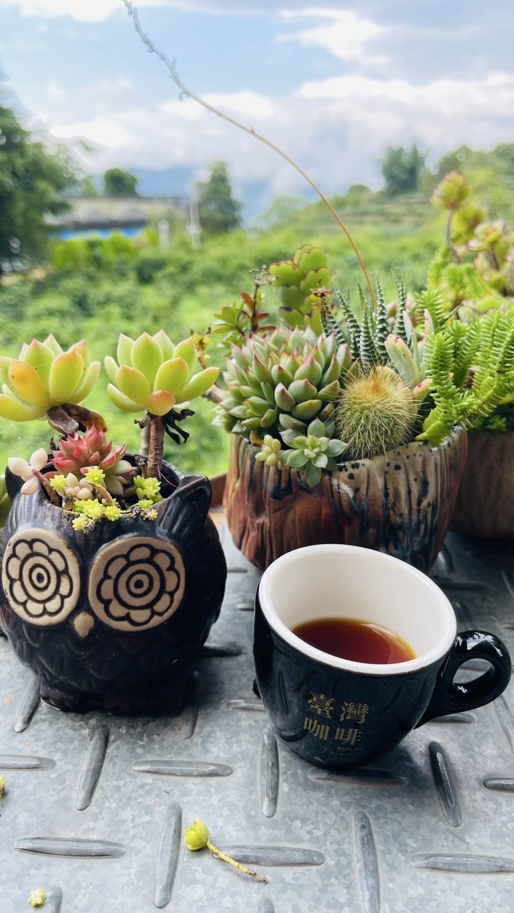 自在50+生活圈