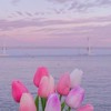 はろはろーん🌷女子中学生おいで(*^^*)
