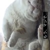 宇宙の待ち合わせ室で＊旧Ｊ