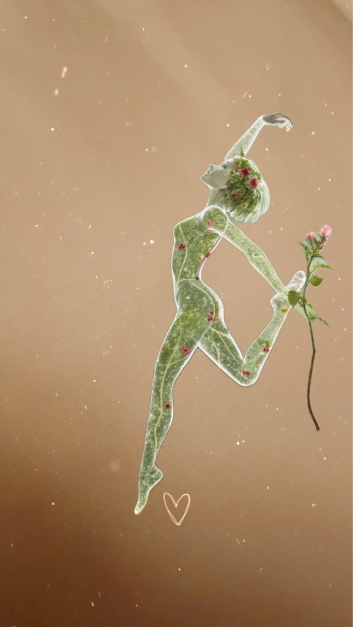 2月2 - 9號 過年前努力維持體態不發胖