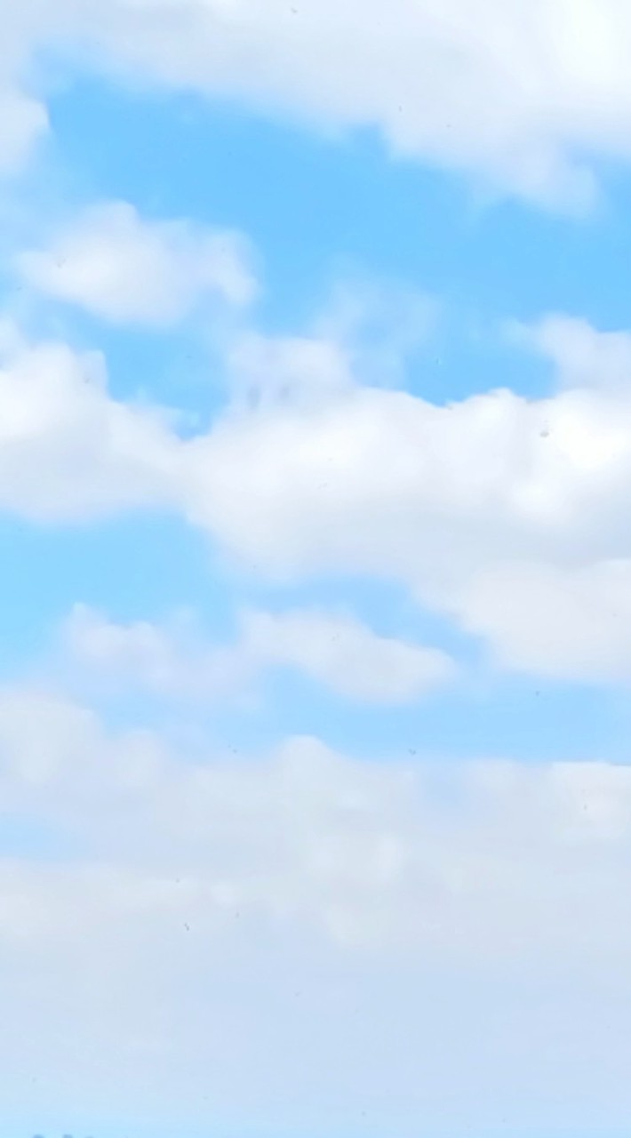 真上自治会