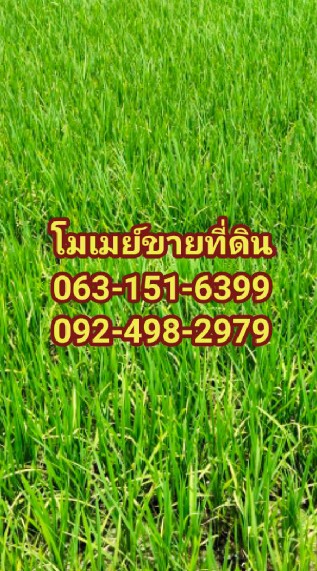 โมเมย์ขายที่ดิน2456