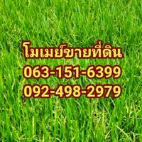โมเมย์ขายที่ดิน2456