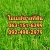 โมเมย์ขายที่ดิน2456