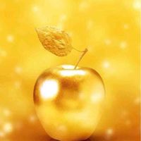 愉快な仲間たち