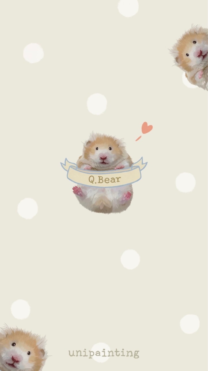 Q.Bear｜臺灣金絲熊舍｜
