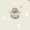 Q.Bear｜臺灣金絲熊舍｜