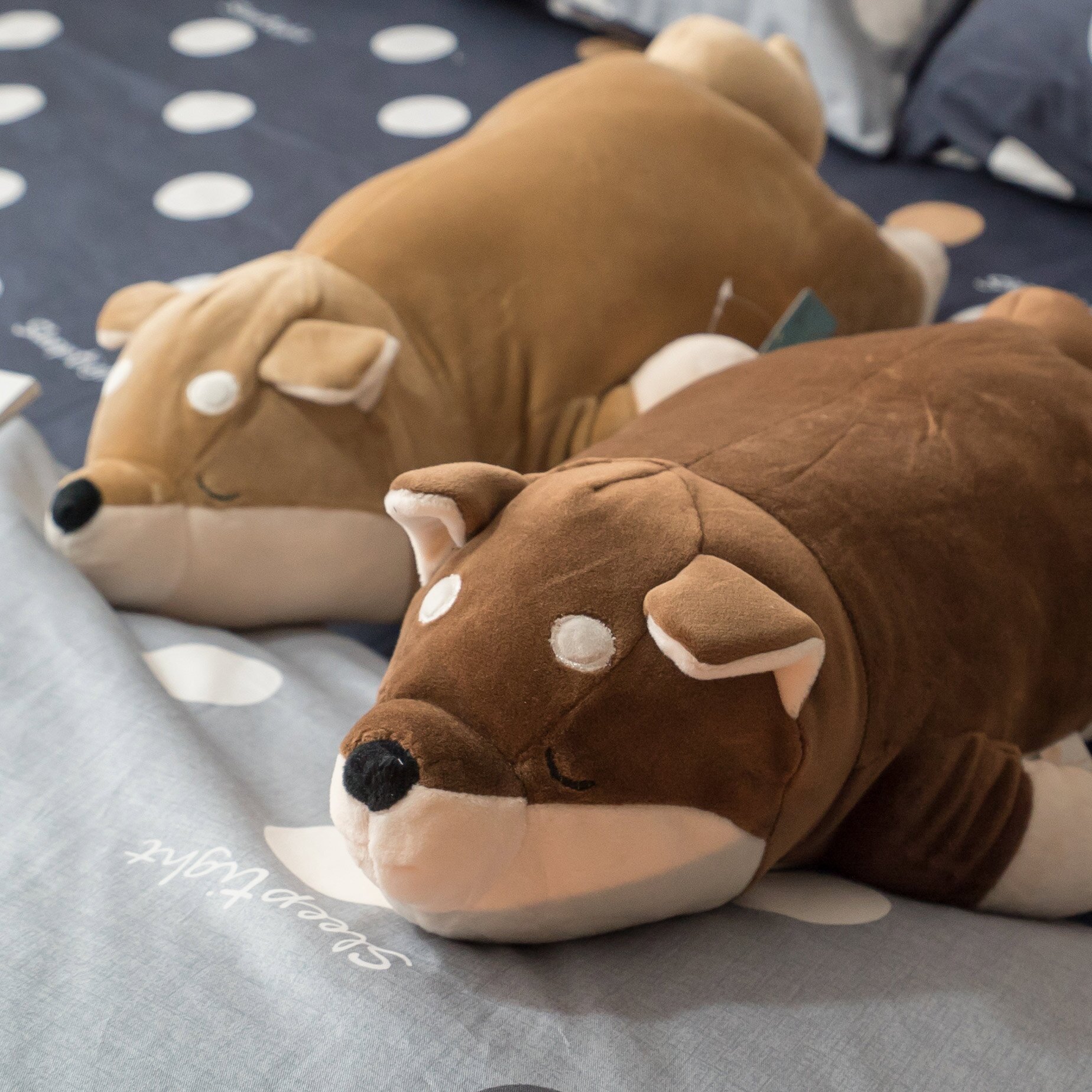 日雜風格柴犬兄弟抱枕 靠枕 午安枕 生日禮物 超萌可愛 觸感扎實 禮物推薦 好窩生活節。居家,家具與寢飾人氣店家Annahome棉床本舖的★秋季新品登場有最棒的商品。快到日本NO.1的Rakuten樂