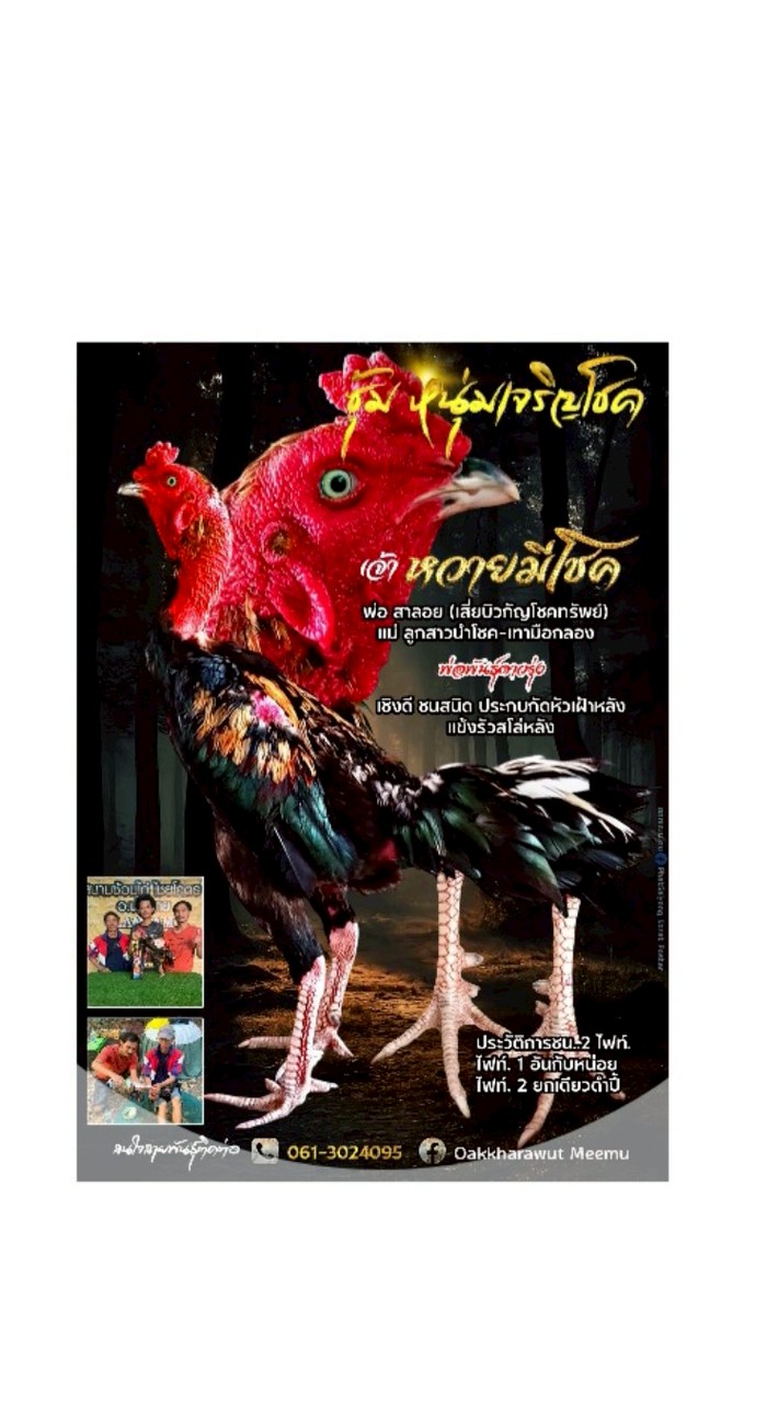 ซุ้ม.หนุ่มเจริญโชคบ้านป๋าก๋อยบ้านนอก🥁🐓🇹🇭