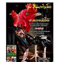 ซุ้ม.หนุ่มเจริญโชคบ้านป๋าก๋อยบ้านนอก🥁🐓🇹🇭