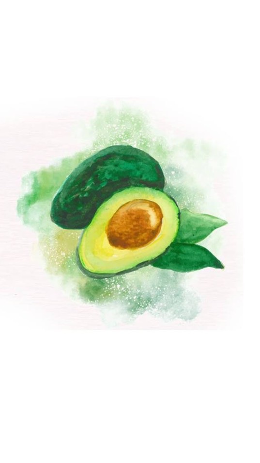 Avocado chiangmai