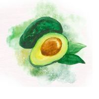 Avocado chiangmai