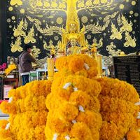 รถยนต์มือสอง ( กลุ่มตัวแทน ) ทำกับเต็นท์โดยตรง
