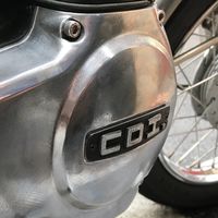 老車不死 雄獅家族