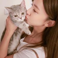 貓咪の運氣拼輸贏交易群