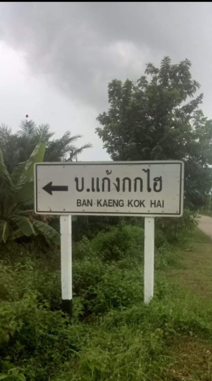 แก้งกกไฮฟาร์ม