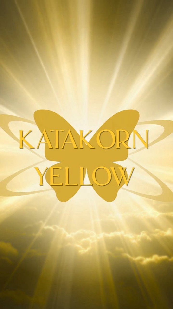 AUDITION KATAKORN YELLOW.