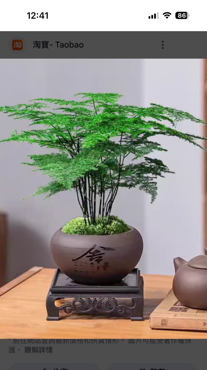 道即是心